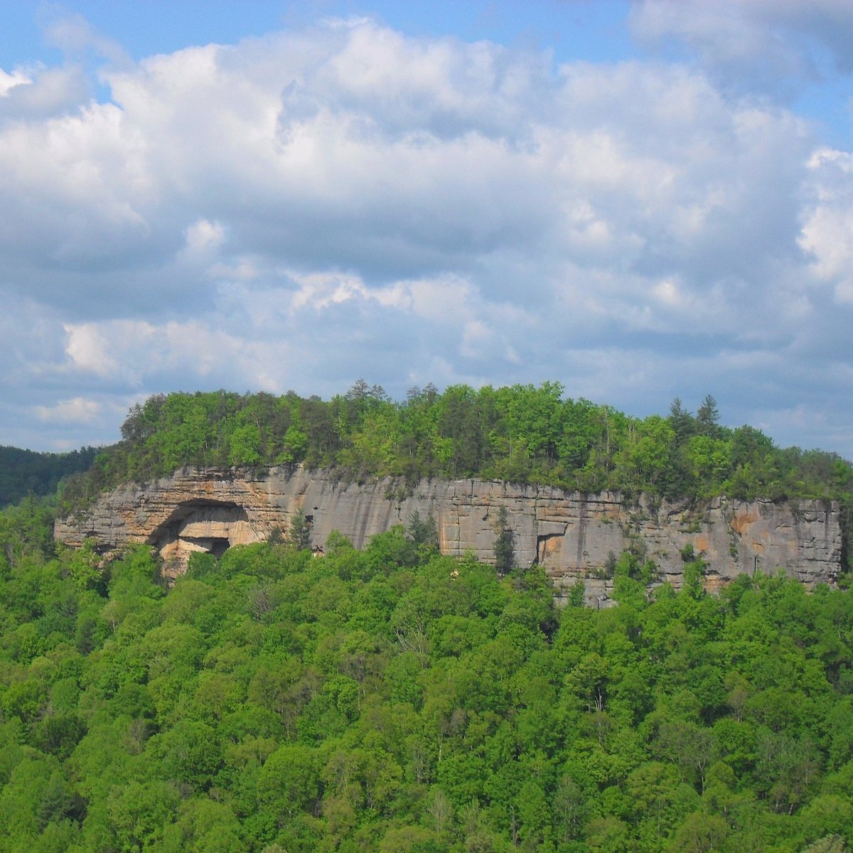 Red River Gorge travel - Lonely Planet