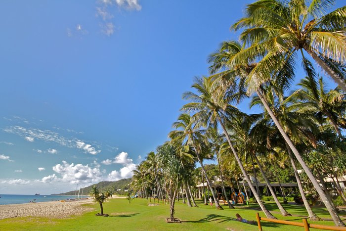 Tangalooma Island Resort Beach: Pictures & Reviews - Tripadvisor