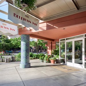 Belltown Inn in Seattle, image may contain: Shopping Mall, City, Potted Plant, Plant