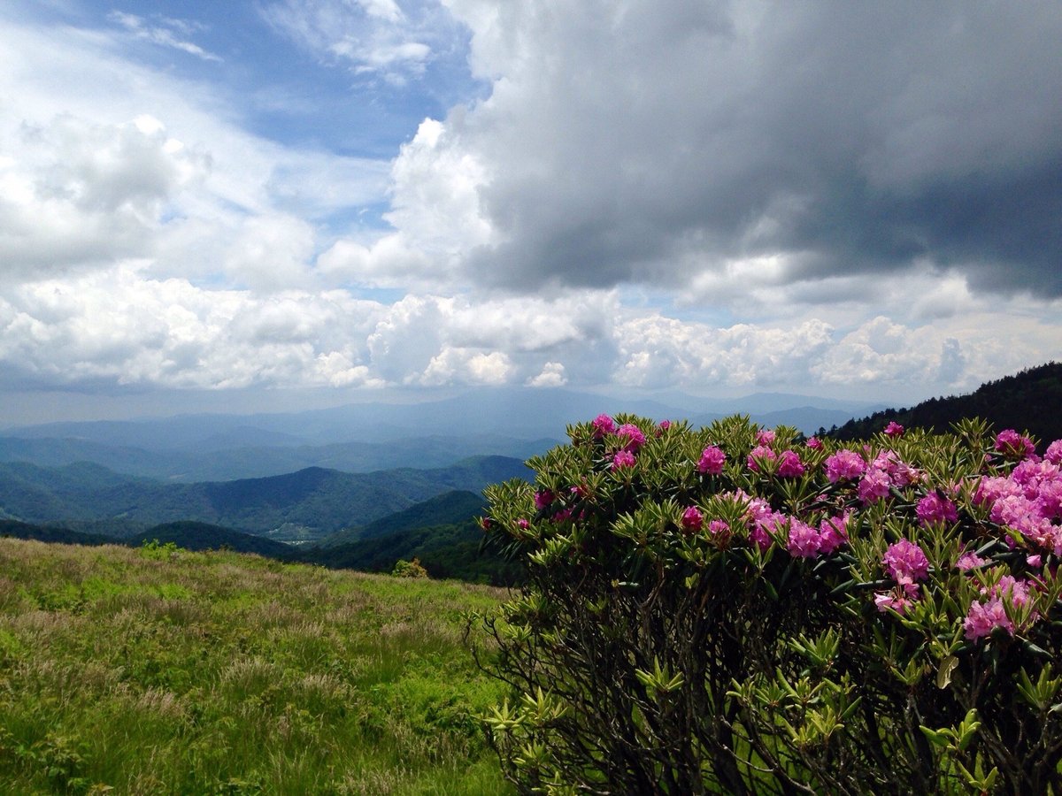 Roan Mountain State Park - All You Need to Know BEFORE You Go (2024)