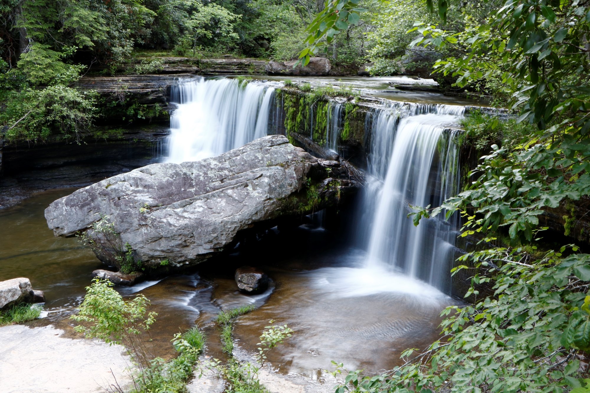 Greeter Falls (Tennessee) - 2022 Alles Wat U Moet Weten VOORDAT Je Gaat ...