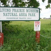 Living Prairie Museum - All You Need to Know BEFORE You Go (2024)