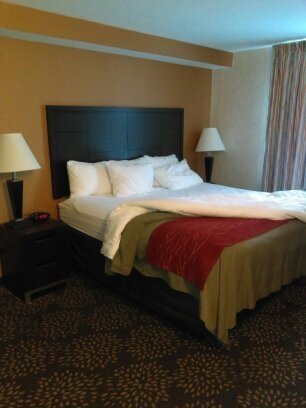 Red Roof Inn Pittsburgh - McKnight Rd Rooms: Pictures & Reviews ...