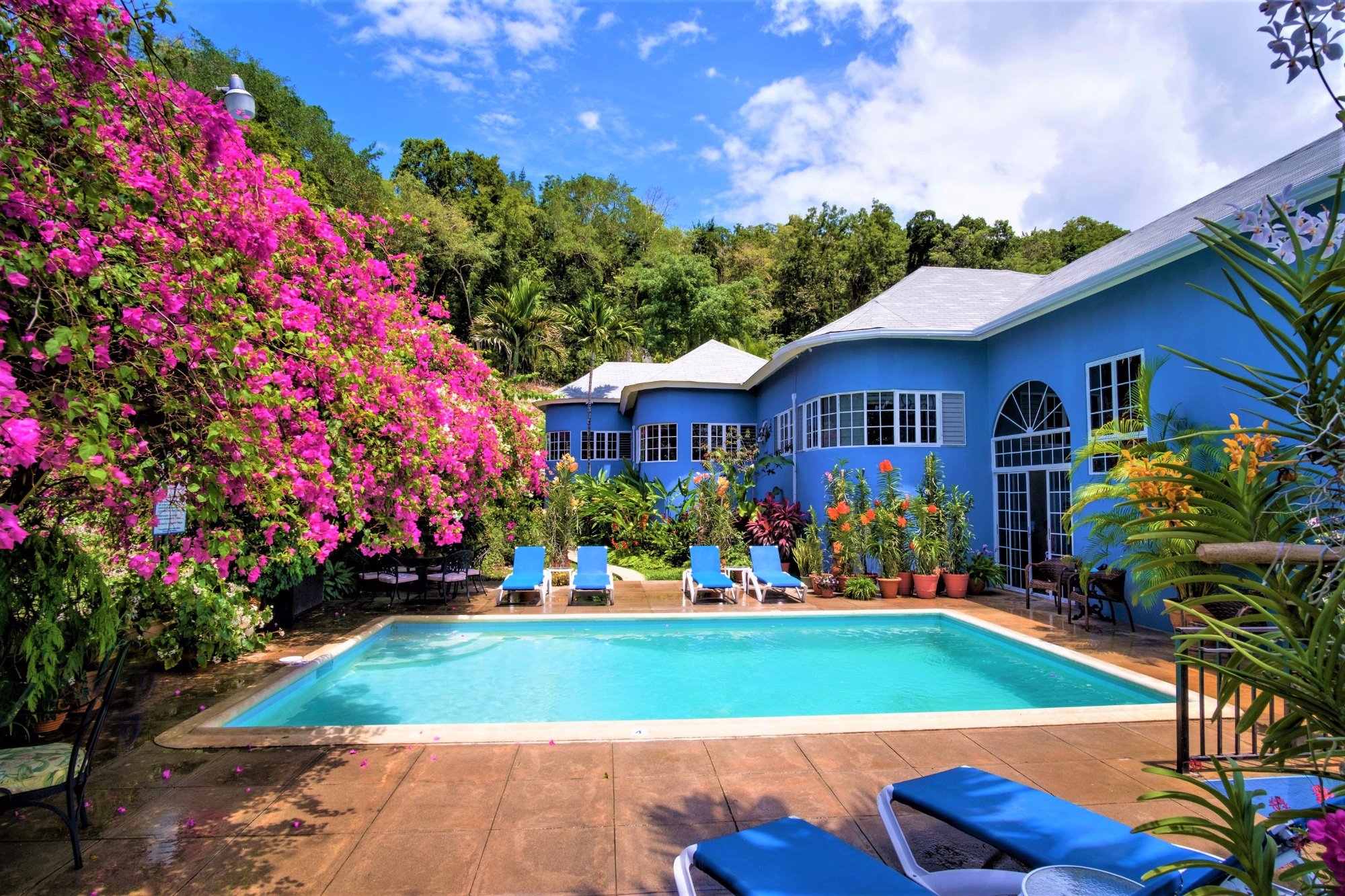 The Blue House Boutique Bed Breakfast Villa UPDATED 2024