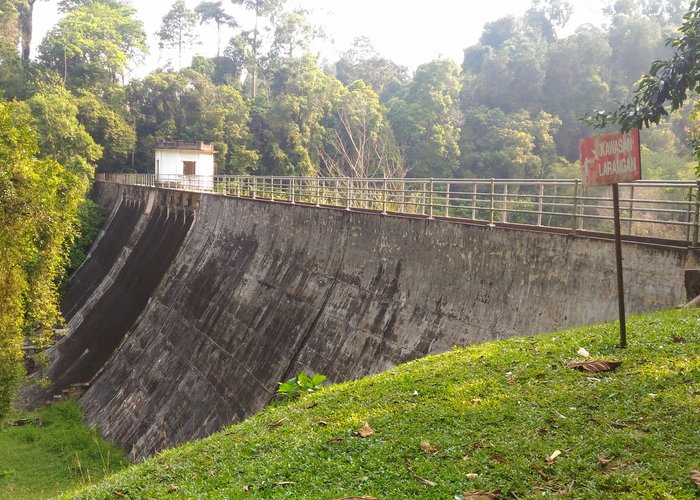 Bukit Mertajam Recreational Forest