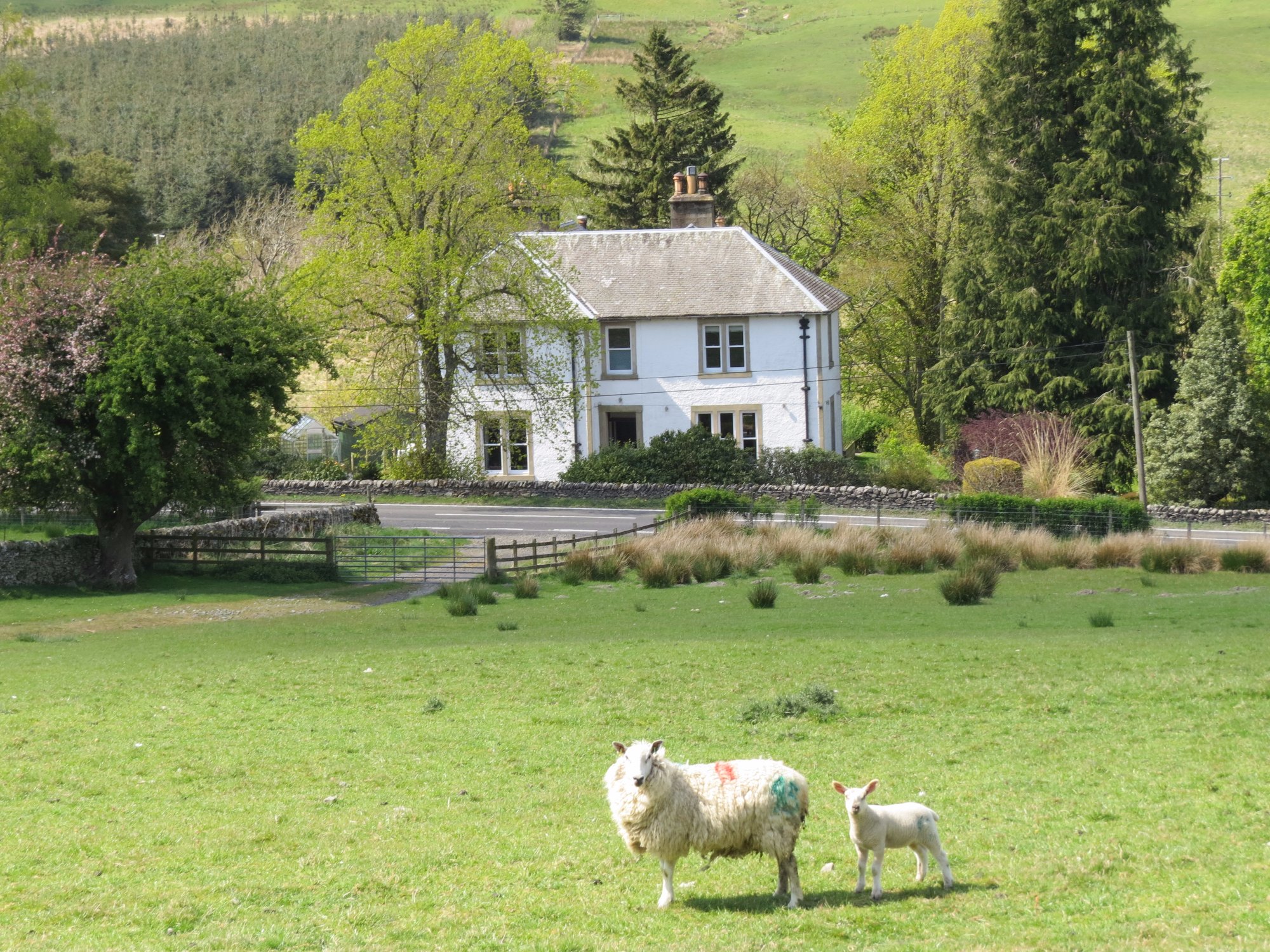 COLTERSCLEUCH HOUSE & COTTAGE B&B (Hawick, Scozia): Prezzi 2022 E ...