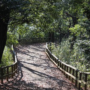 21年 川崎市で絶対外さないおすすめ観光スポットトップ10 定番から穴場まで トリップアドバイザー 21年 川崎市で絶対外さないおすすめ観光スポットトップ10 定番から穴場まで トリップアドバイザー