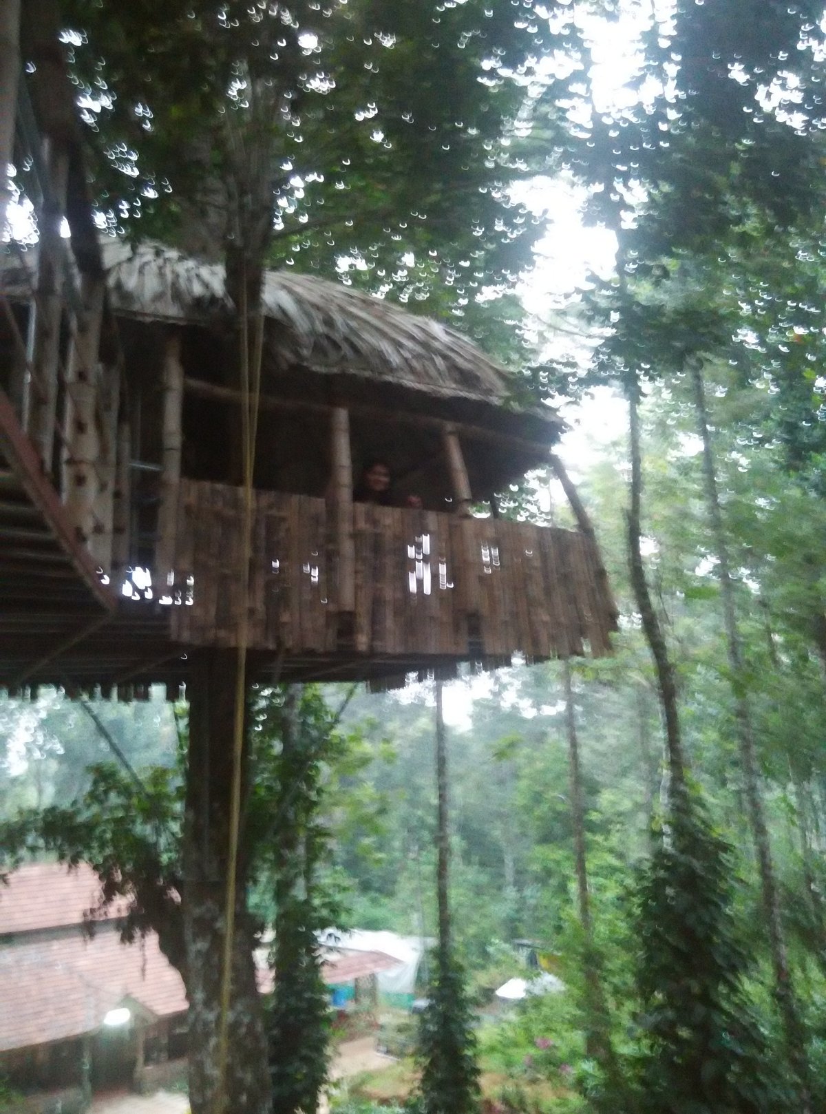 JUNGLE JIVE TREE HOUSE MUNNAR (Муннар) - отзывы, фото и сравнение цен -  Tripadvisor