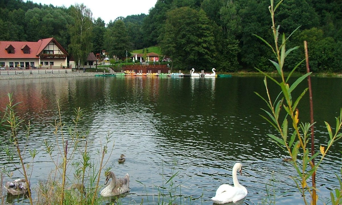 BIERGARTEN AM STAUSEE, Sohland an der Spree Restaurant Reviews