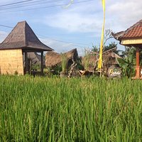 getlstd_property_photo