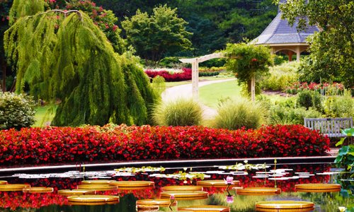 Damson Aquatic Garden and Summer House 