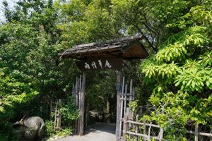 旅行者の写真
