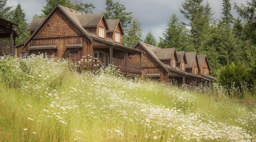 The parklike property invites you to take a stroll by the lake or through the woods.