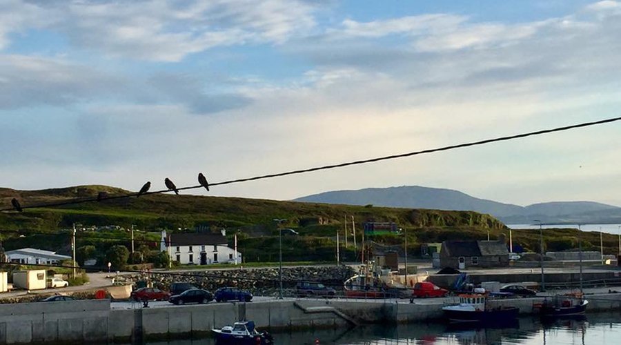 The obs in North Harbour