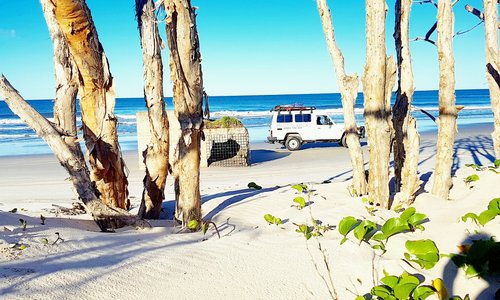 G'day Adventure Tours