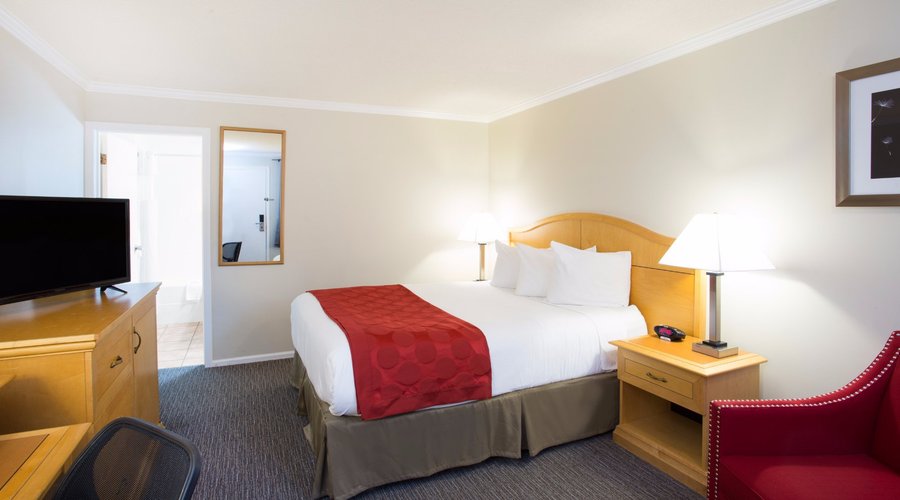 Standard Queen Room