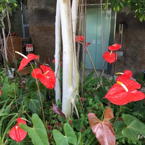 茨城県の庭園 茨城県の 10 件の庭園をチェックする トリップアドバイザー