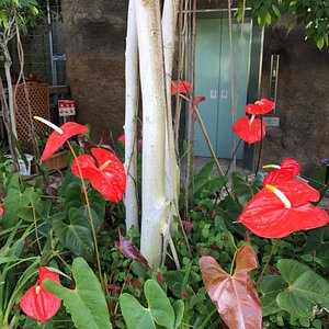 茨城県の庭園 茨城県の 10 件の庭園をチェックする トリップアドバイザー 茨城県の庭園 茨城県の 10 件の庭園をチェックする トリップアドバイザー