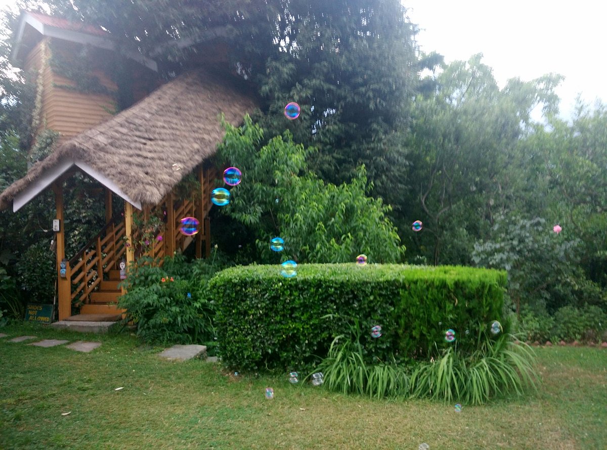 TREE HOUSE COTTAGES (Bashkola) - отзывы, фото и сравнение цен - Tripadvisor