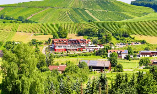 Unser Haus befindet sich inmitten der idyllischen Weinberge.