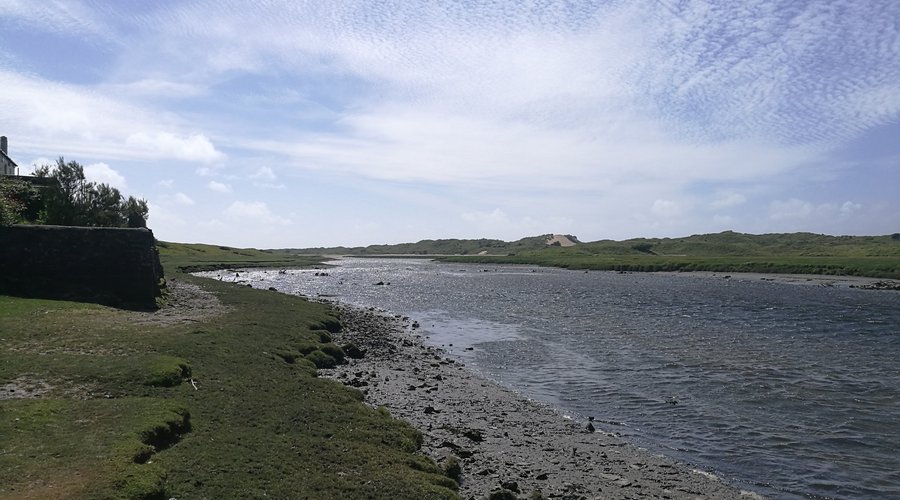 Merthyr Mawr Sand Dunes