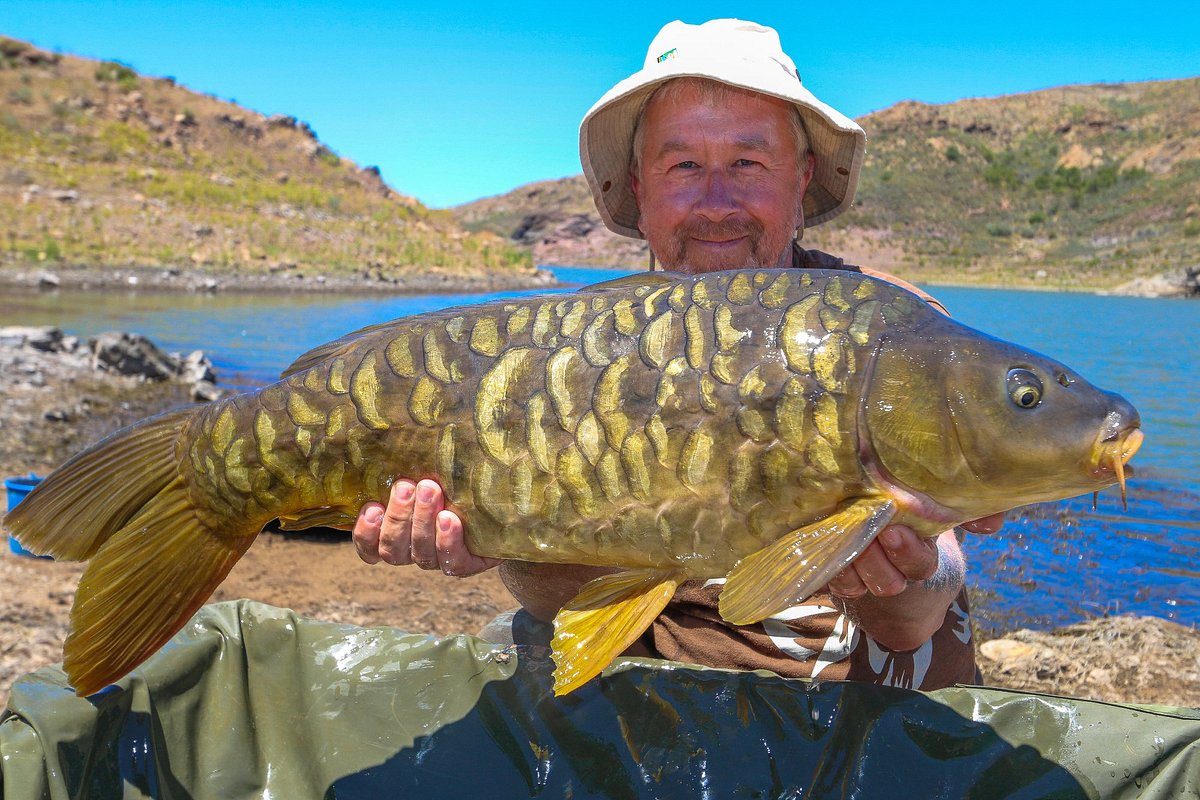 Carp Gran Canaria - All You Need to Know BEFORE You Go (2024)