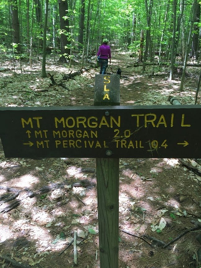 hiking - What Morgan Does