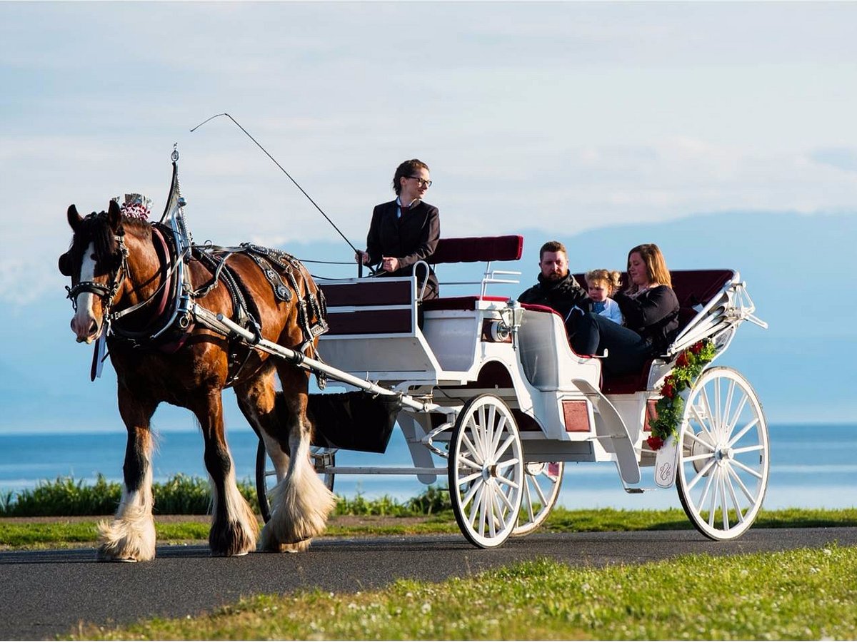 Sleigh Bells Ring! - Tally-Ho Tours