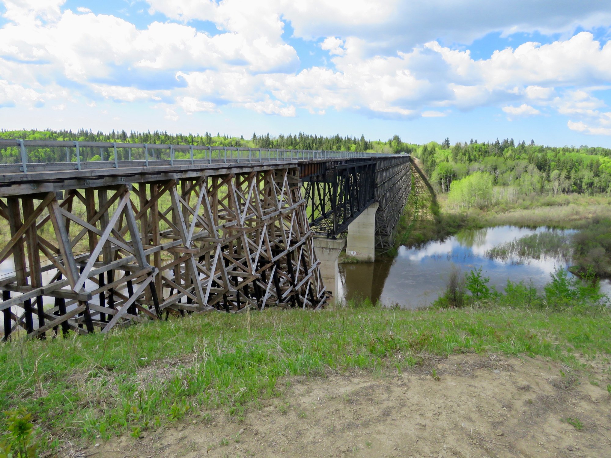 ALBERTA S IRON HORSE TRAIL All You Need To Know BEFORE You Go   Iron Horse Trail 6 