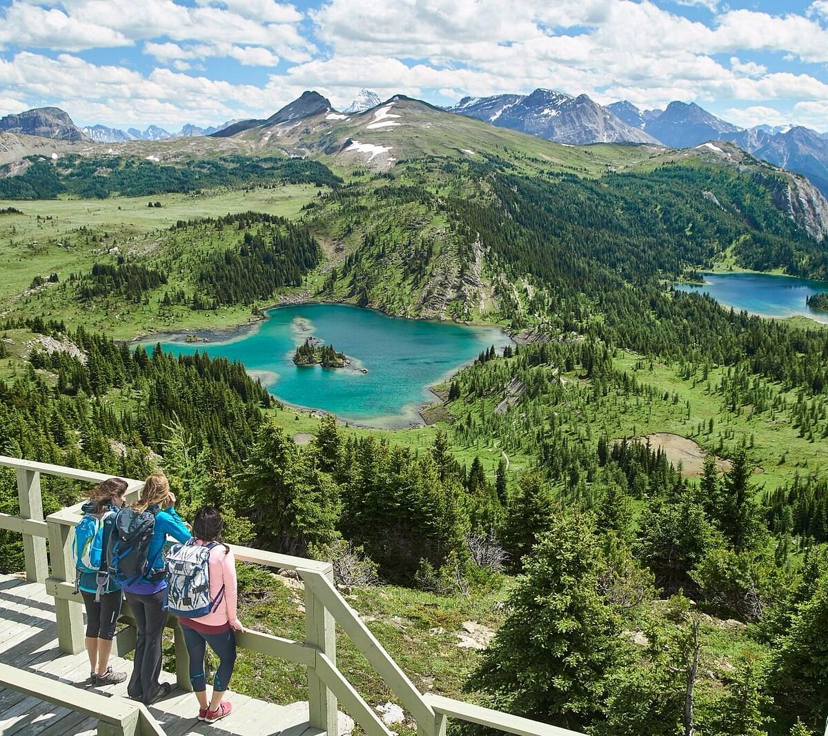 Sunshine Meadows Banff Aktuelle 2021 Lohnt Es Sich Mit Fotos sunshine-meadows-banff-aktuelle-2021-lohnt-es-sich-mit-fotos