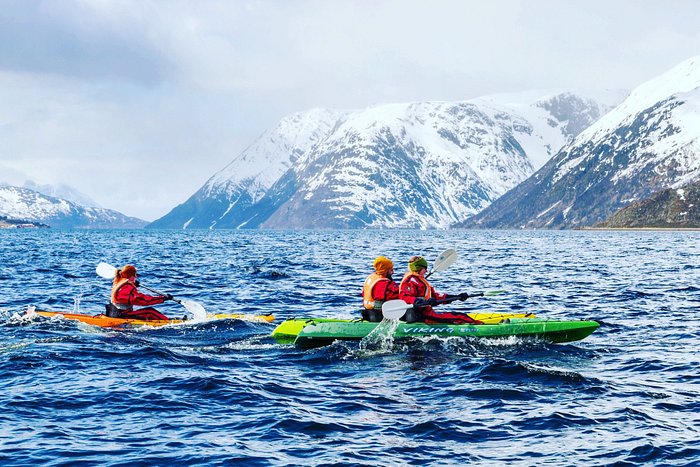 EXPLORE THE WILDFJORDS AND THE GLACIER! The Øksfjordjøkul glacier is stunning and the surroundin