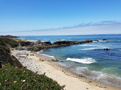 Best Things to Do in Half Moon Bay, California 