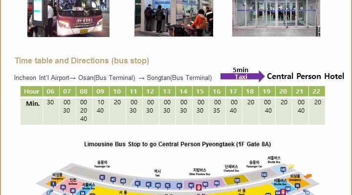 Limousine Bus Information