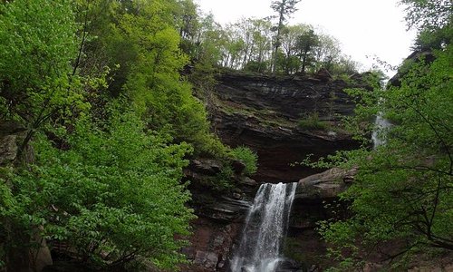 Kaaterskill falls in the area