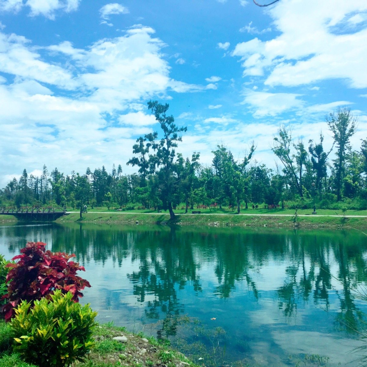 TAITUNG FOREST PARK (Taitung City) - 2022 What to Know BEFORE You Go