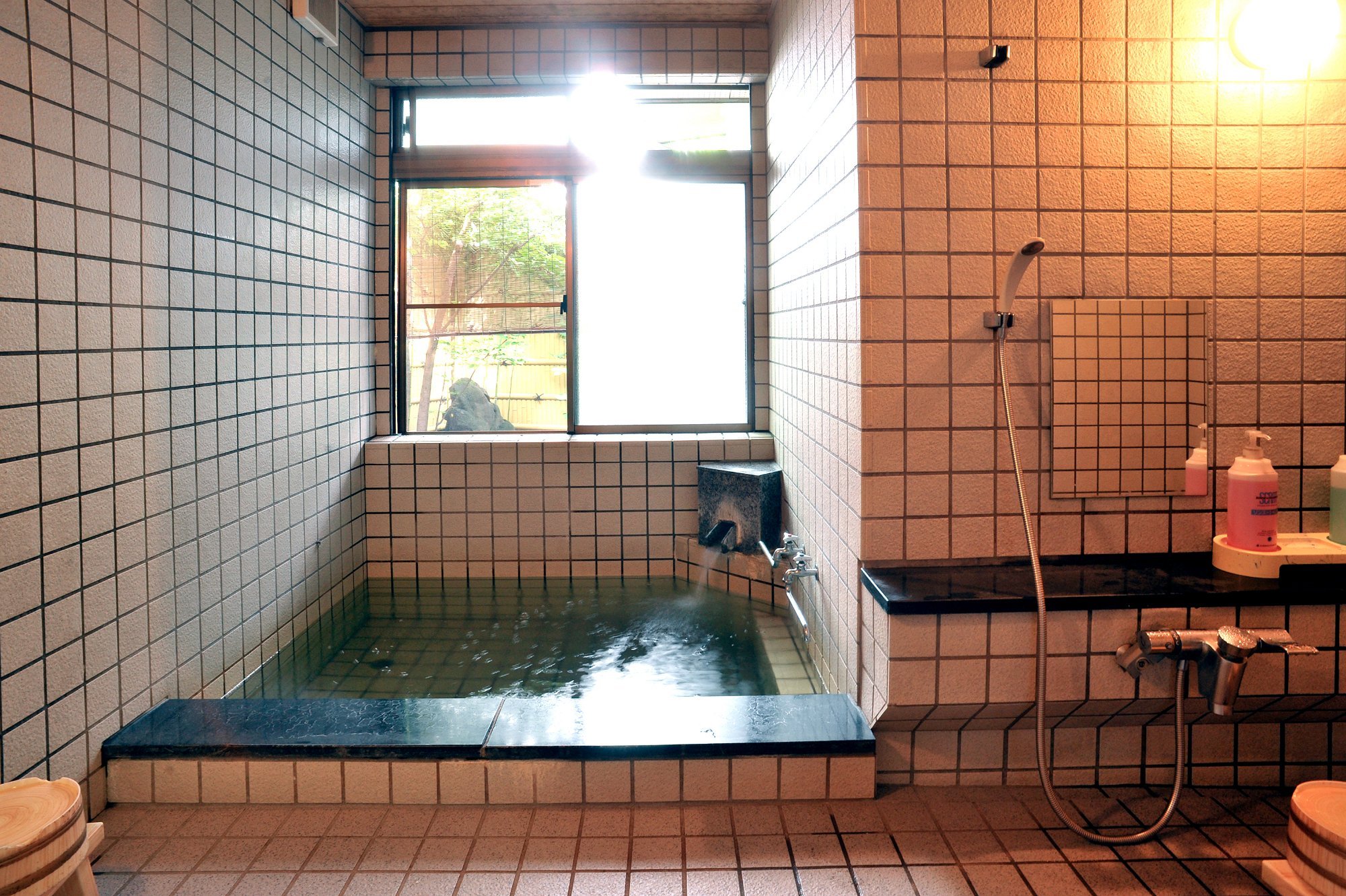 Ryokan Seifuso by null
