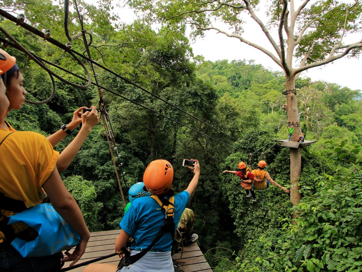 Flight of the Gibbon, Бангкок: лучшие советы перед посещением - Tripadvisor