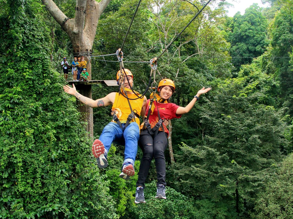 Flight of the Gibbon, Бангкок: лучшие советы перед посещением - Tripadvisor