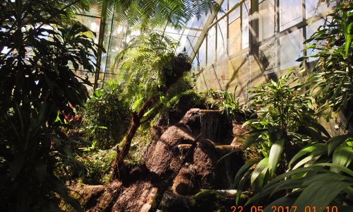 Inside the aviary