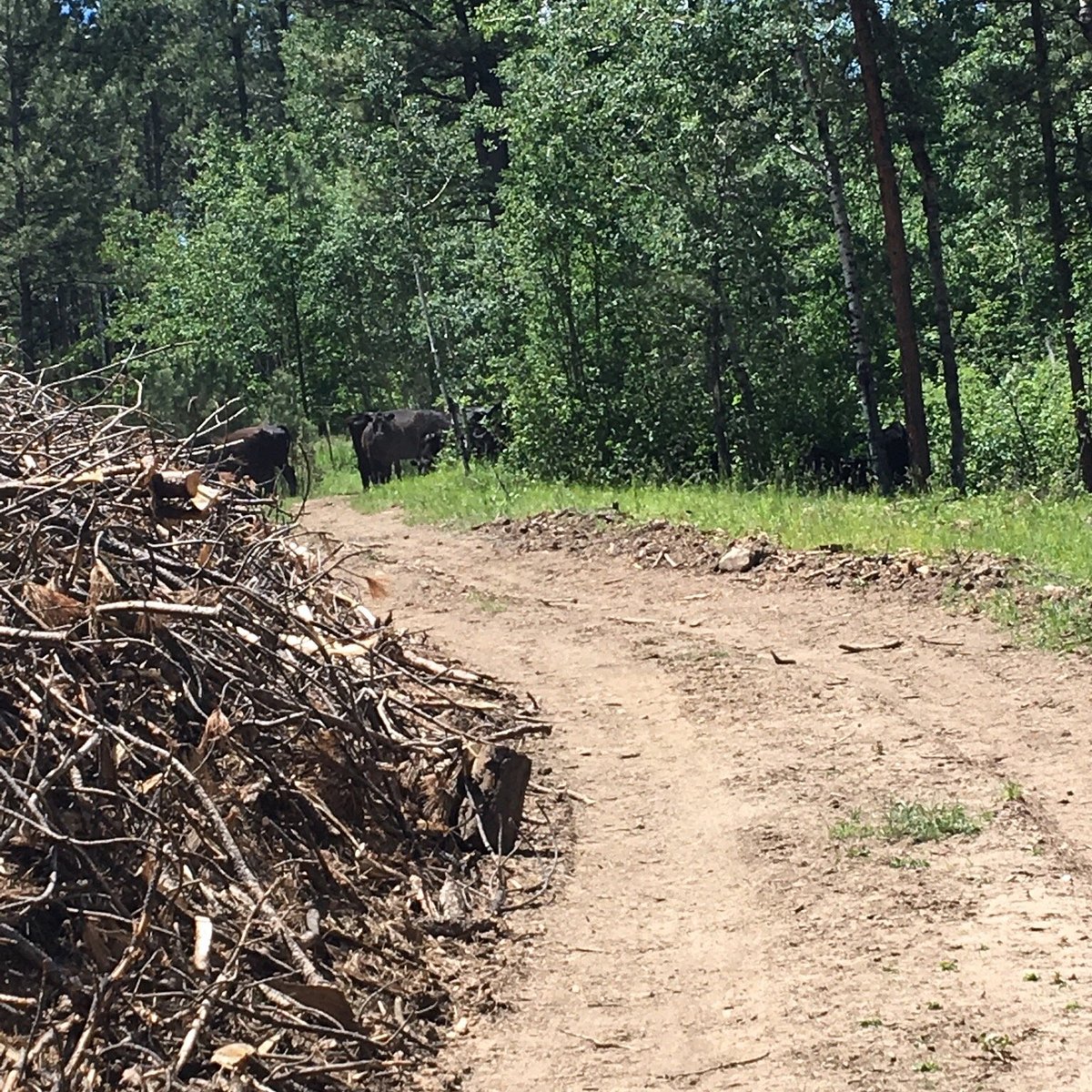 CENTENNIAL TRAIL (South Dakota) - All You Need to Know BEFORE You Go
