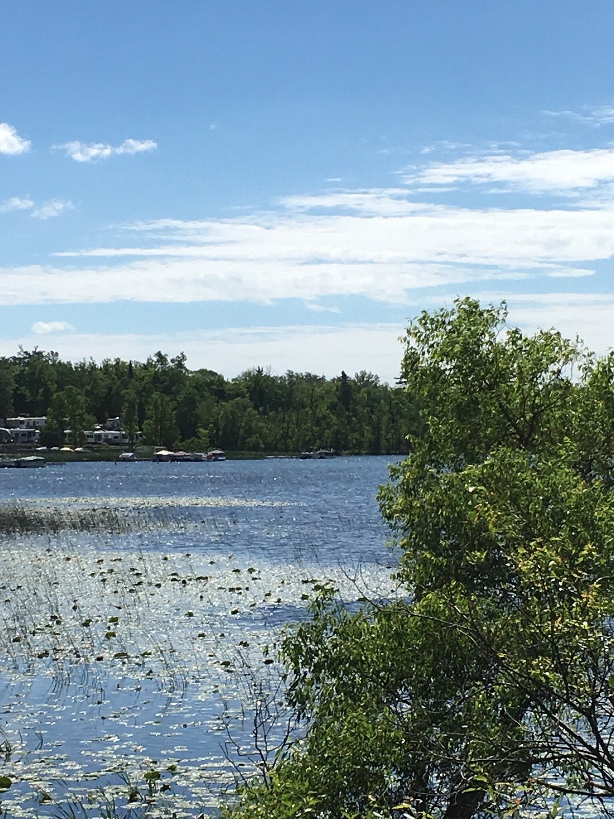 FOX LAKE CAMPGROUND OF BEMIDJI - отзывы и фото - Tripadvisor