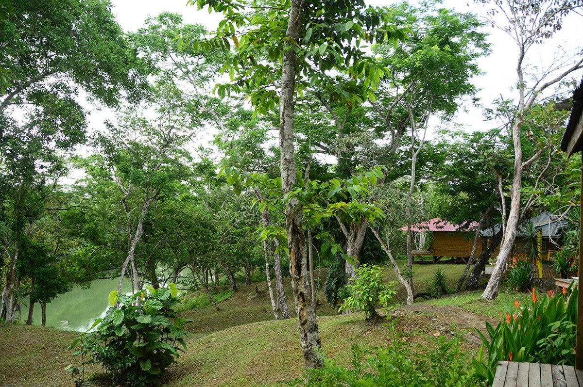 HOWLER MONKEY RESORT - Updated 2022 Prices & Lodge Reviews (Belize)
