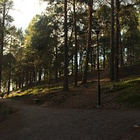 Gültzauudden
