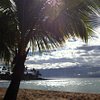 1IslandMom