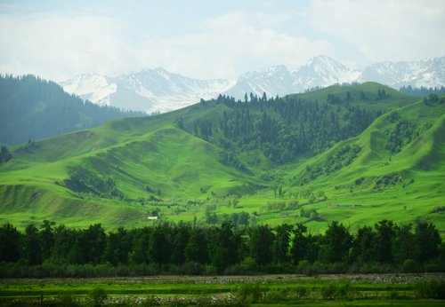 Bayingolin Mongol Autonomous Prefecture GariusHUNG review images