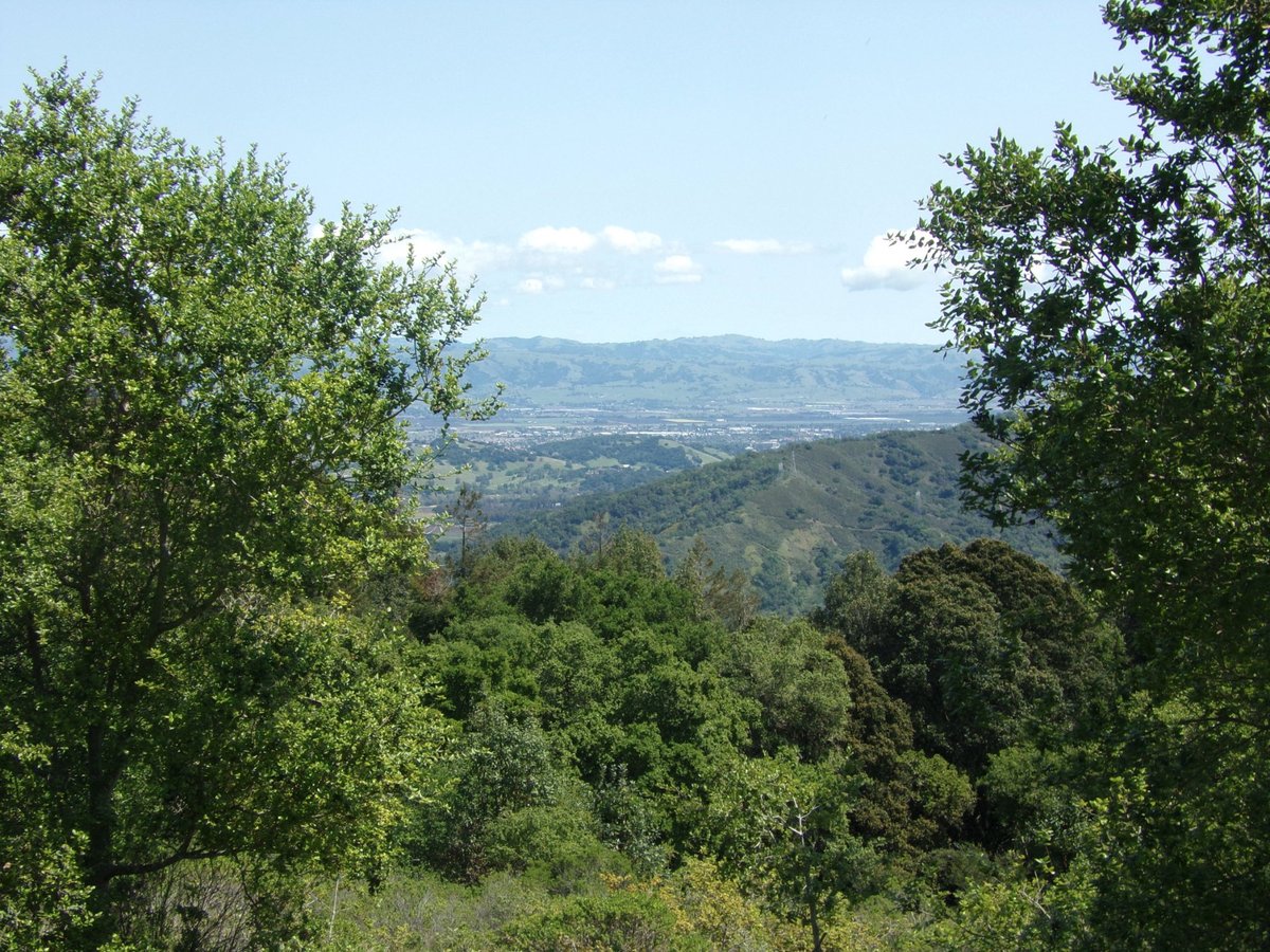 Spend The Night At Mount Madonna County Park, Northern California’s ...