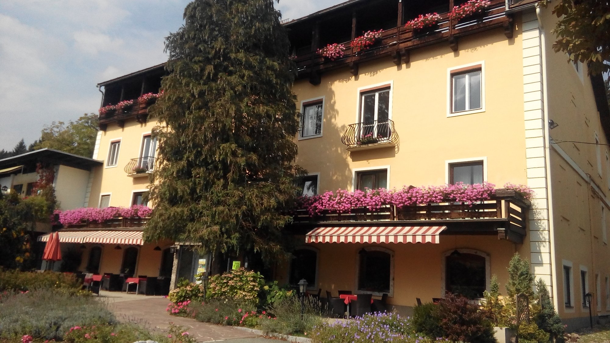 Hotel photo 10 of Hotel Kurschner.