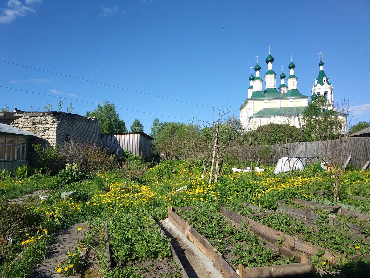 кострома река белилка