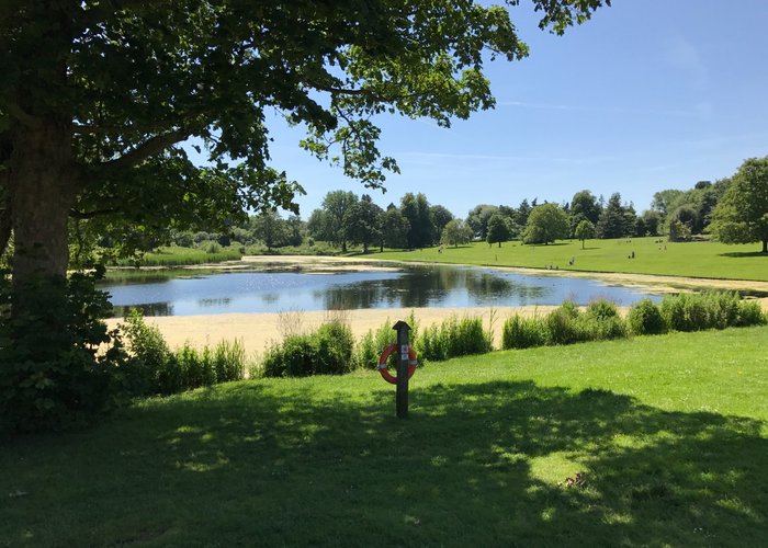 The Lake