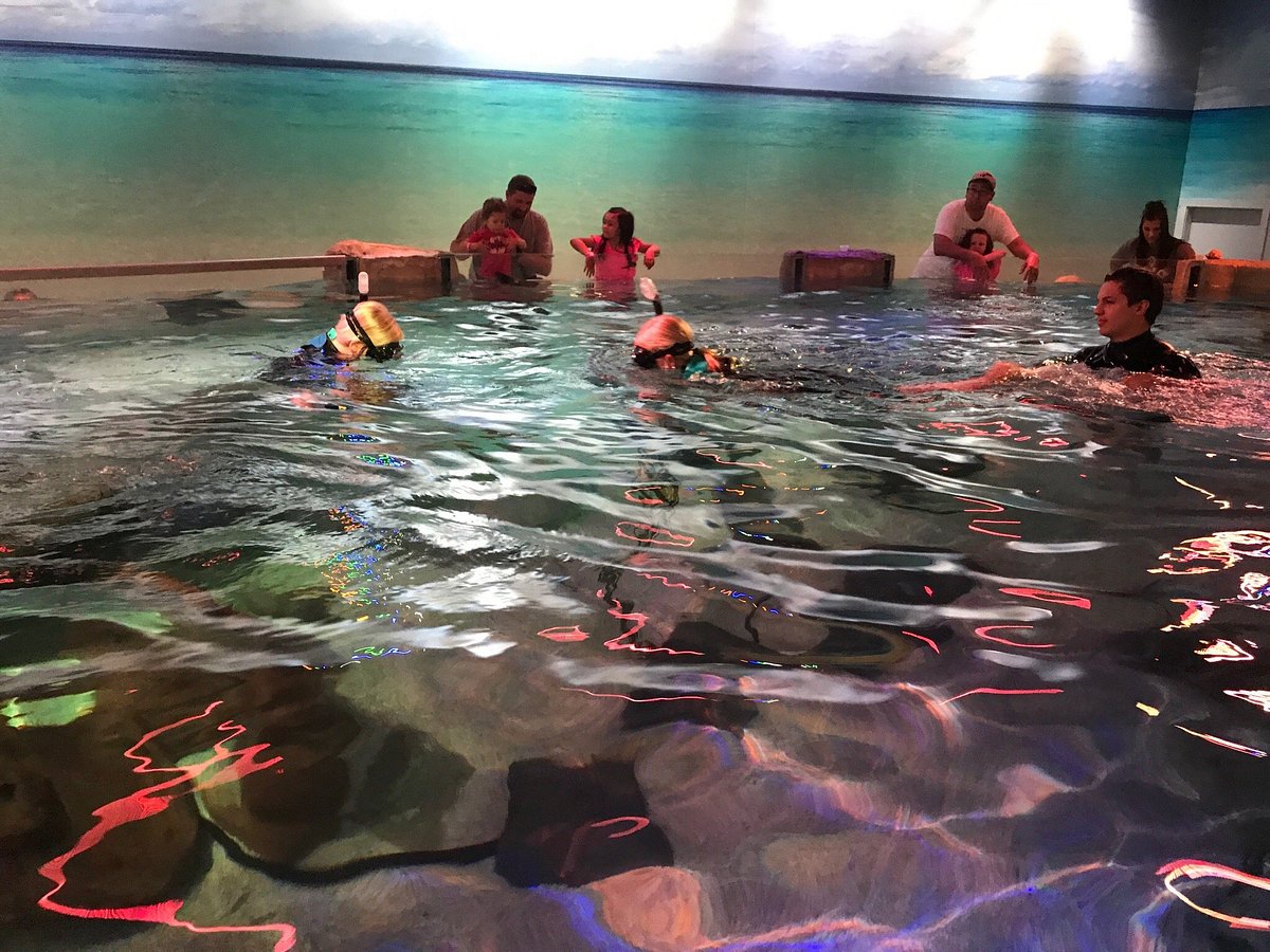 SEAQUEST UTAH (Layton) All You Need to Know BEFORE You Go